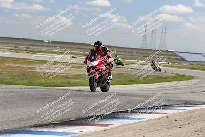 media/Mar-23-2025-TrackDaz (Sun) [[88a7749186]]/B Group/1220pm (Wheelie Bump)/